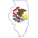Illinois Senate Election: Turnout