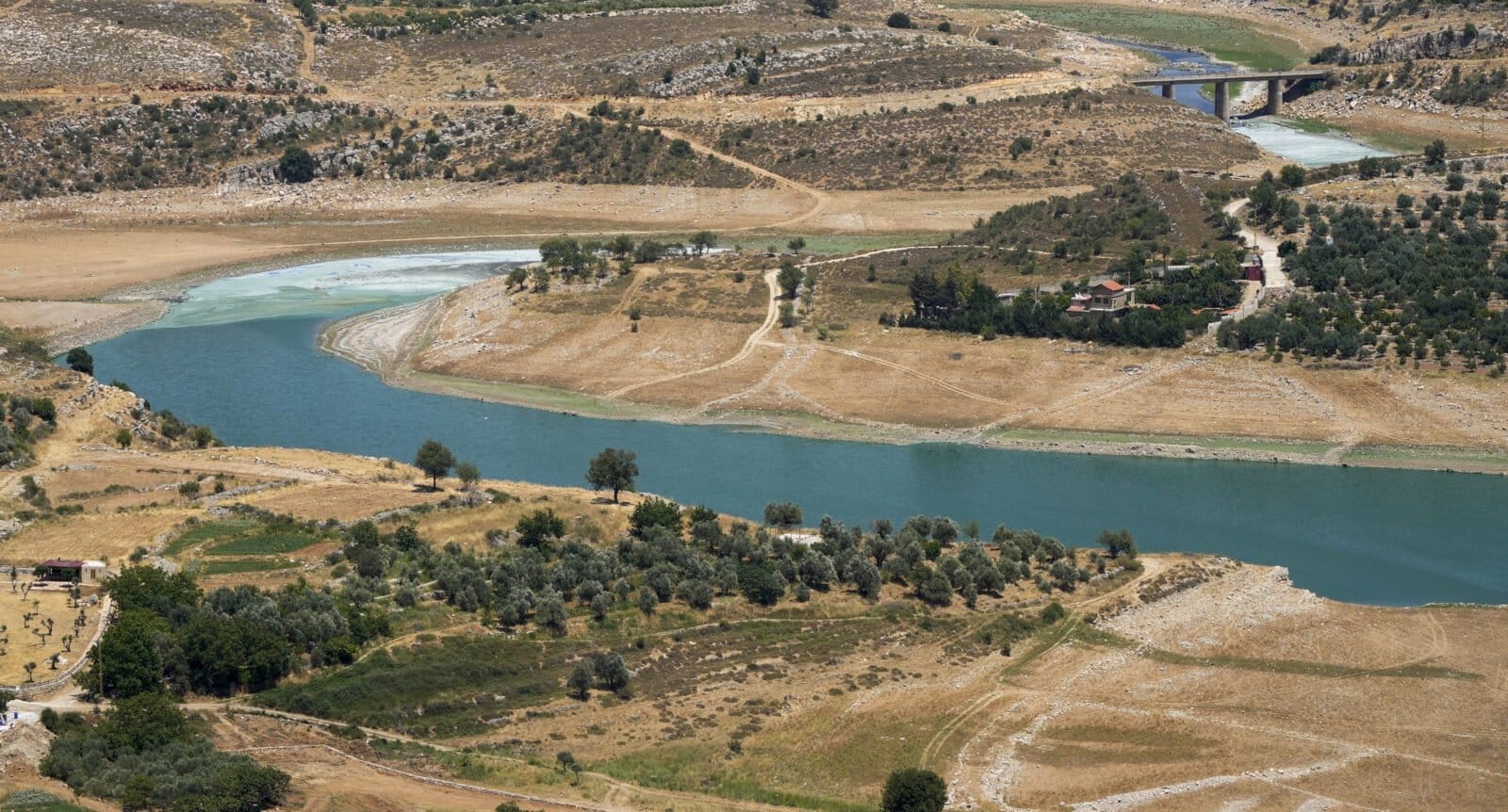 Israeli forces withdraw from beyond the Litani River by which date?