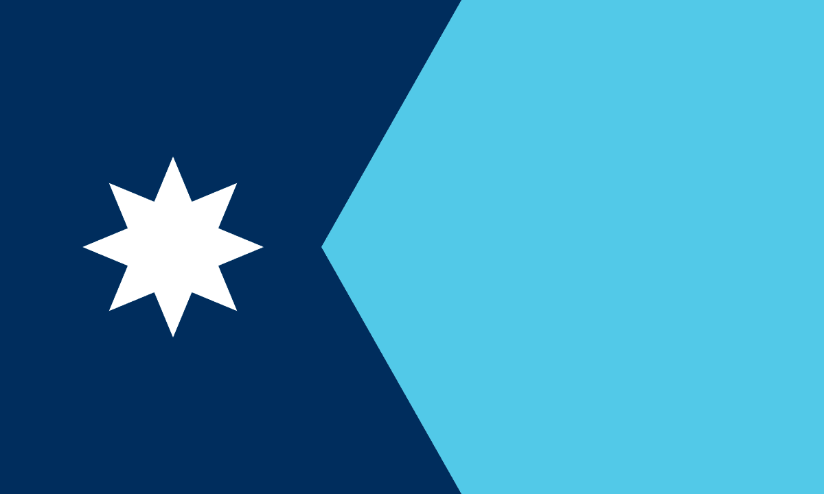 Minnesota Democratic Senate Primary Winner