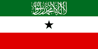 Somaliland Parliamentary Election Winner