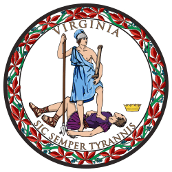 Virginia Republican Senate Primary Winner