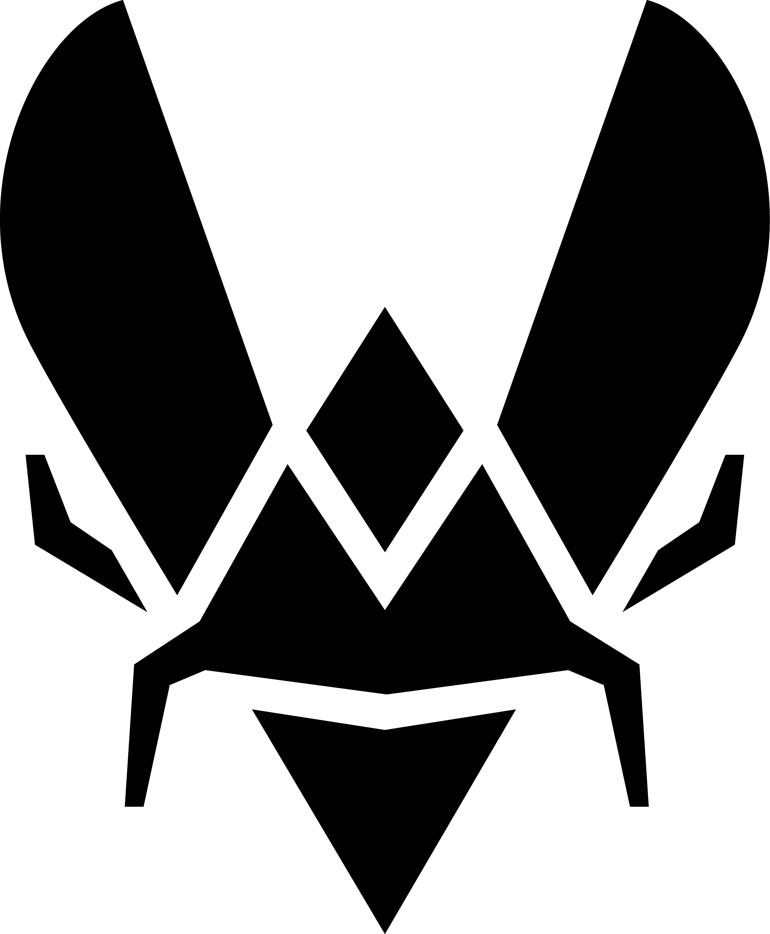 Team Vitality