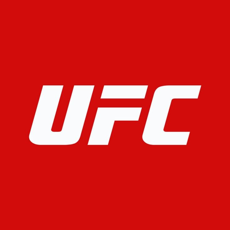 What will announcers say during McGregor vs Holloway at UFC 329?
