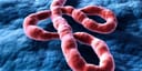 Which countries will have an Ebola case in 2026?