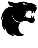 Will FURIA Make a Roster Change by December 31?