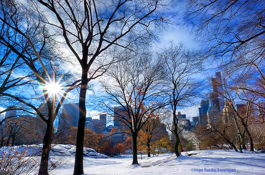 Will it snow in New Yorks' Central Park on Christmas Eve (Dec 24)?