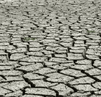 Will Oregon reach D4 (Exceptional Drought) by August 31, 2026?