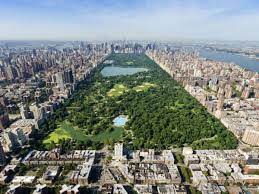 Will the high temperature in New York's Central Park be 60°F or higher on November 15th, 2021?