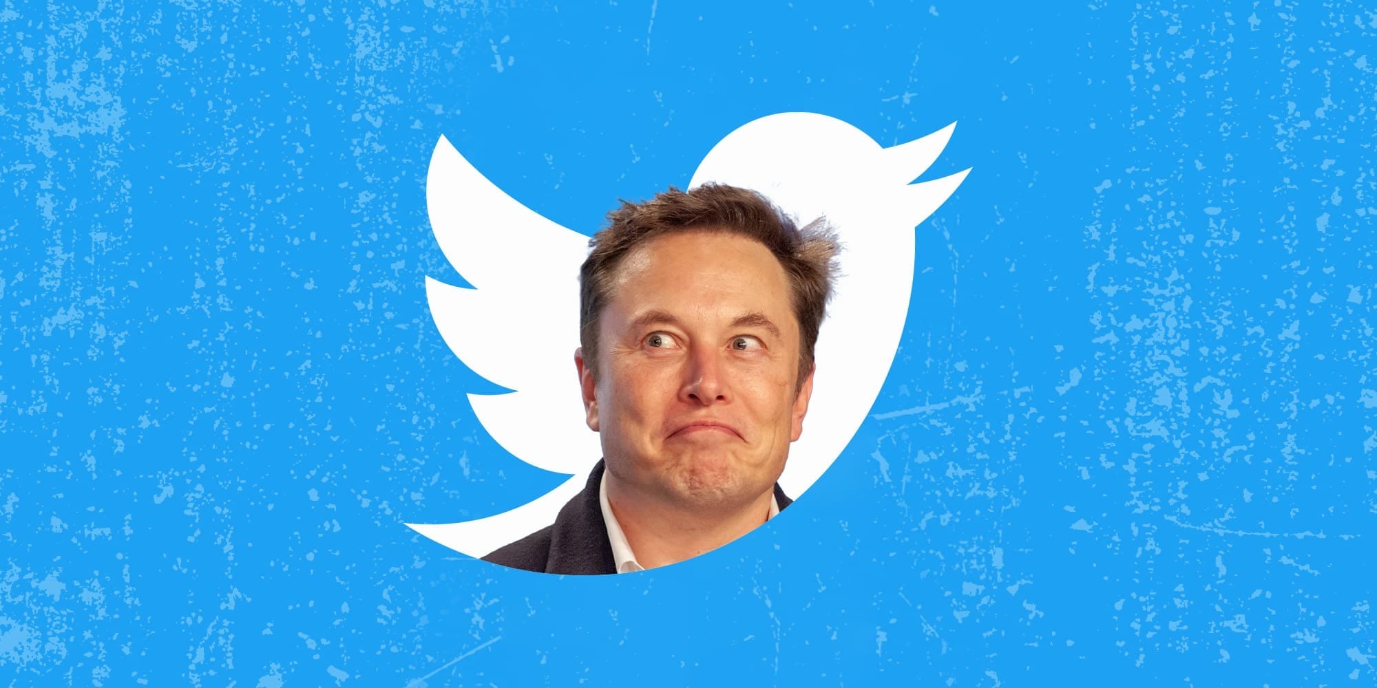 Will unverified Twitter users be able to see more than 1k posts per day by July 10?