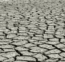 Exceptional drought (D4) by state — week of September 8, 2026